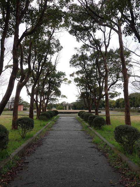 海浜公園の円形広場からの街路樹のある通りが綺麗です