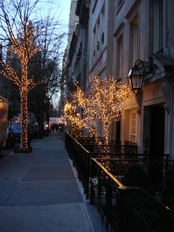 NYC Dec 248