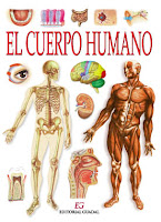 http://www.salonhogar.com/ciencias/anatomia/cuerpo_humano/cuerpo_humano.swf