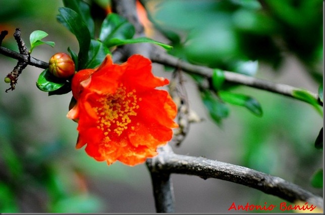 4 DSC_5986 x