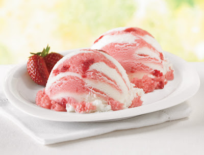 Vanilla Strawberry Sorbet Swirl