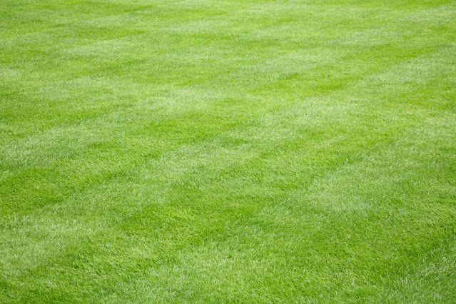 lawn care services in Arlington