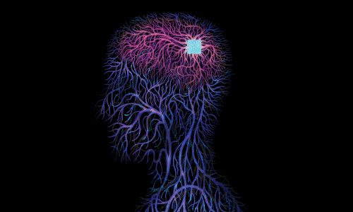 human-neurons