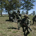AA: Prospective of Argentine Armored and Mechanized Forces