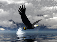 3d Eagle Screensavers