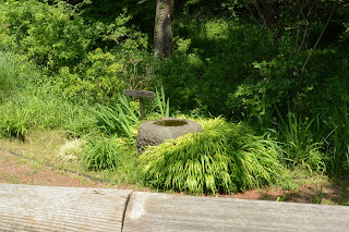 国営ひたち海浜公園