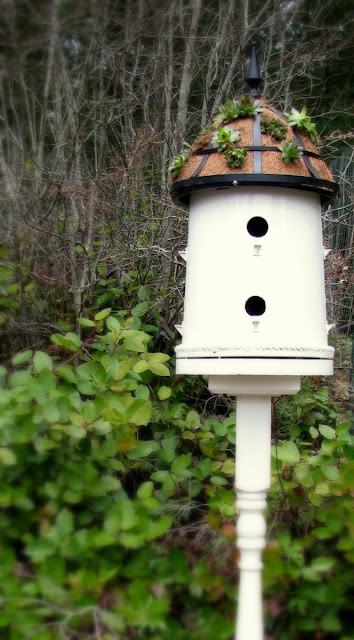 blue roof cabin: How to Make a Bucket into a Bird House