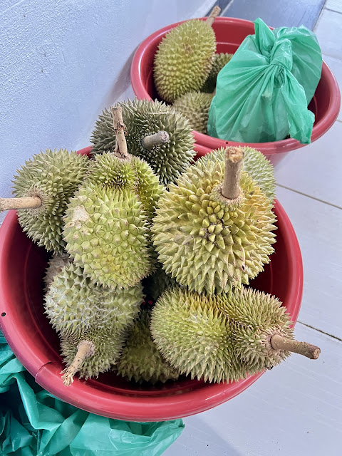 Bila Tiba Musim Durian