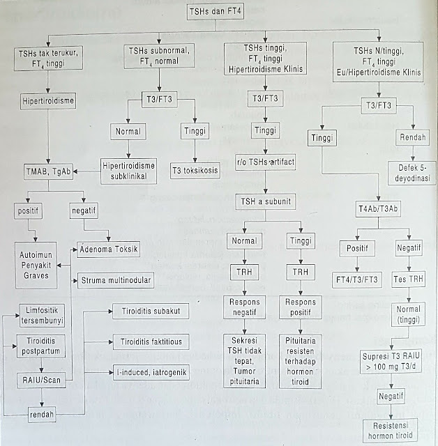 thyroid stimulating hormone sensitive, TSH, Thyroid releasing hormone, TRH, Adenohipofisis, pituitary gland, kelenjar pituitari, tiroksin bebas / free thyroxine (FT4) dan triiodotironin bebas / free triiodothyronine (FT3), TMAB, TgAb, T3 toksikosis, respons negatif, respon positif, RAIU, Autoimun penyakit Graves, Adenoma toksik, Struma multinodular, Limfositik tersembunyi, Tiroiditis postpartum, Tiroiditis subakut, Tiroiditis Factitious, iatrogenik, iodide induced, Sekresi, Tumor pituitaria, resisten, resistensi hormon tiroid 