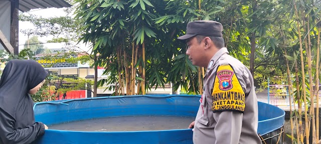 Bhabinkamtibmas Desa Ketapang Cek Kolam Lele Milik Warga, Dukung Ketahanan Pangan Nasional 