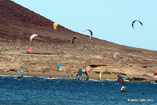 PLAYA DE EL MEDANO. Tenerife, Islas Canarias. España