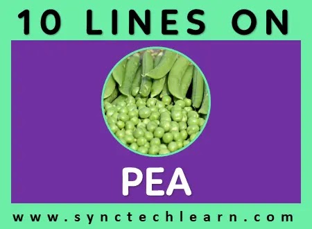 10 lines on peas in english