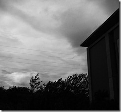 IMG_1966_af
