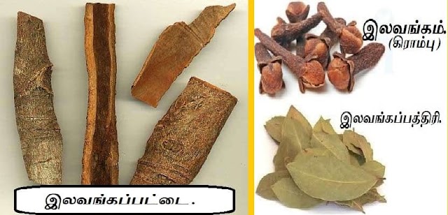 கறுவாப்பட்டை - இலவங்கப்பட்டை - Cinnamon - Cinnamomum verum.