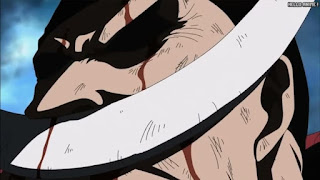 ワンピースアニメ 頂上戦争編 484話 白ひげ Edward Newgate | ONE PIECE Episode 484