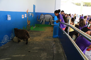 Fiesta de fin de curso en el colegio Rontegi