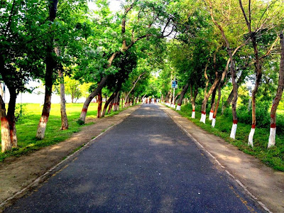 Greenery of the Jinnah park Nowshera
