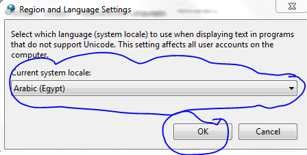 Error launching installer
