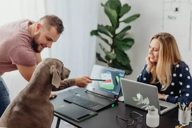 Training Dogs Made Easy: Unveiling the Secrets to Success