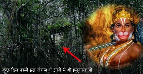 Image result for Hanuman in Jungles