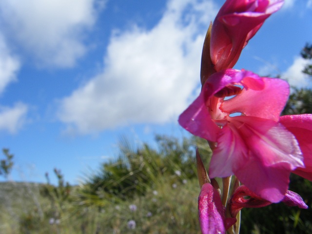 2011_04220020.JPG