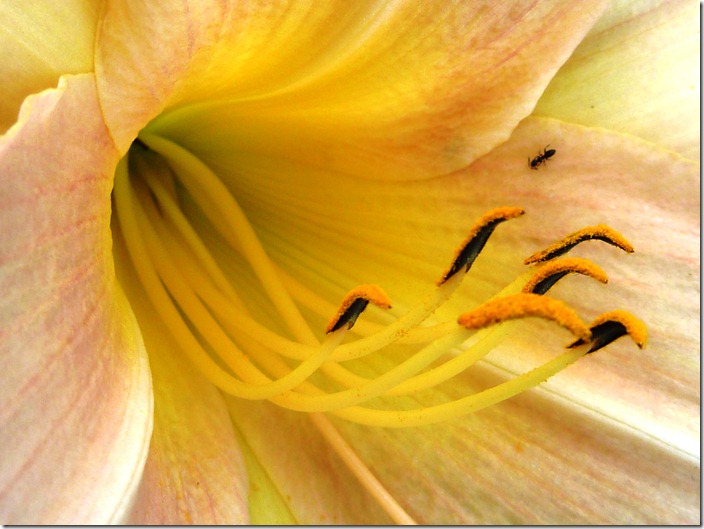 P1120976
