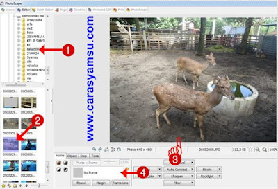 Cara Memilih Foto yang akan dibingkai dengan photoshop edit photo