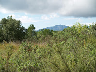 Sant Llorenç des del Serrat de les Moles