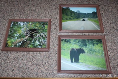 Bathroom Bears Project