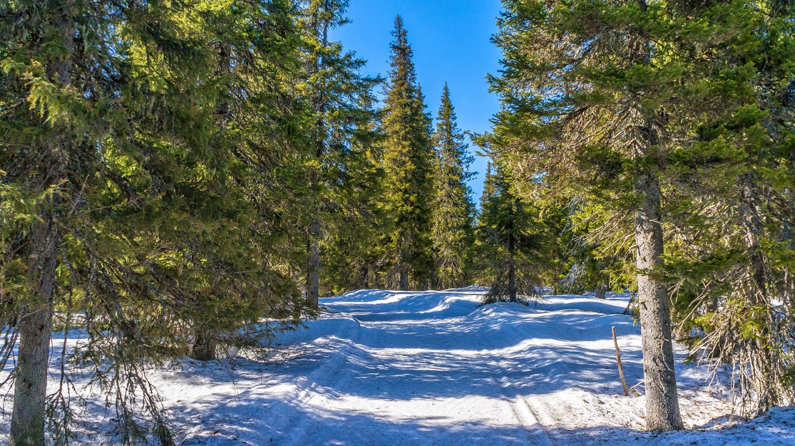  Syötteen kansallispuisto-2014-04-20