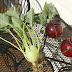 Cool Weather Vegetables: Seed Starting Kohlrabi, Kale, Broccoli, Brussels Sprouts, Cabbages: Planting, Feeding, Transplanting 