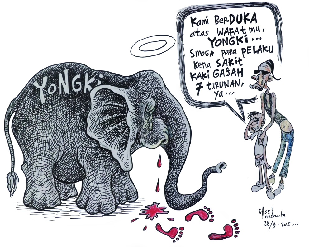 Gambar Pencurian Gading Gajah Laskar Kocak Gambar Karikatur Di