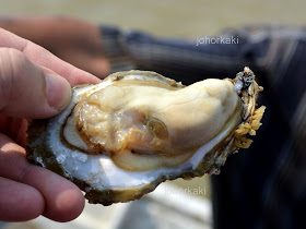 Muar-Oyster-Johor