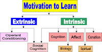 Sources of Motivation for Learned