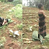 VIRAL Budak Solat Di Kebun Alas Daun Pisang. Ini KISAH SEBENAR Buat Ramai RESPEK