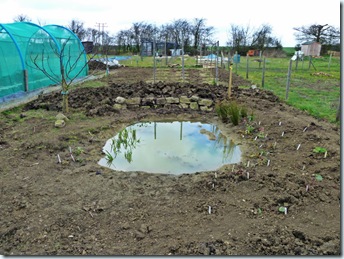 Pond build