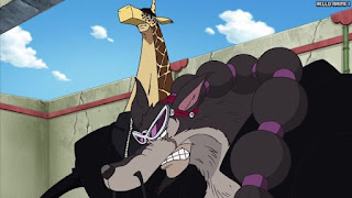 ワンピース アニメ エニエスロビー編 295話 カク ジャブラ | ONE PIECE Episode 295 Enies Lobby