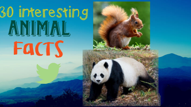 Top 30 amazing animal facts