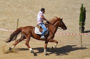 Corrida de cavalos do 3 de maioFeira de Santa CruzLamegoPortugal