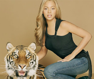 new beyonce knowles hot