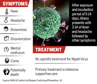 Nipah virus