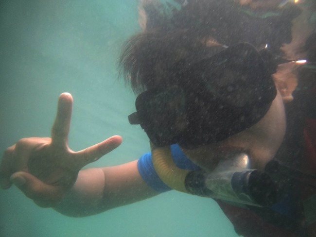 snorkeling di taman laut pulau tioman snorkeling di taman laut pulau tioman
