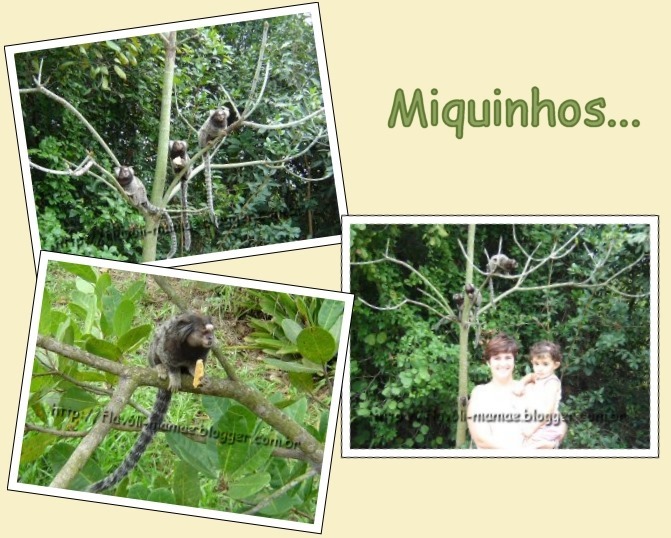 20060703_bosque2