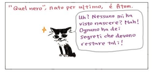 “Quello nero”, nato per ultimo, e` Atom. Uh? Nessuno mi ha visto nascere? Mah! Ognuno ha dei segreti che devono restare tali!