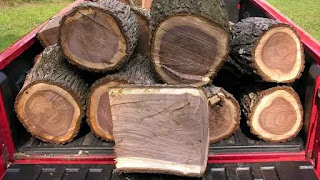https://www.hargaparket.com/tips-informasi/kayu-walnuts/