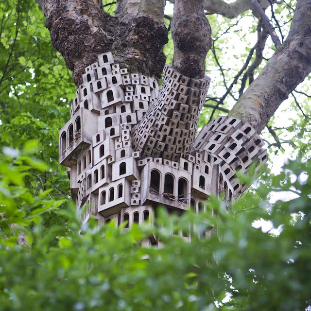 Spontaneous City in The Tree of Heaven by London Fieldworks