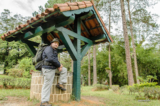 Trabalhar e viajar é possível?