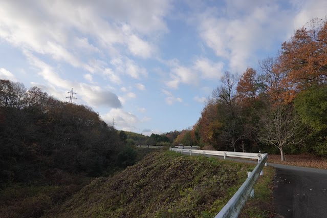 鳥取県西伯郡南部町鶴田 とっとり花回廊