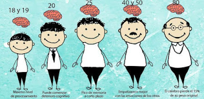 ¿El Cerebro envejece?