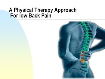 Physiotherapy Treatment in Low Back Pain